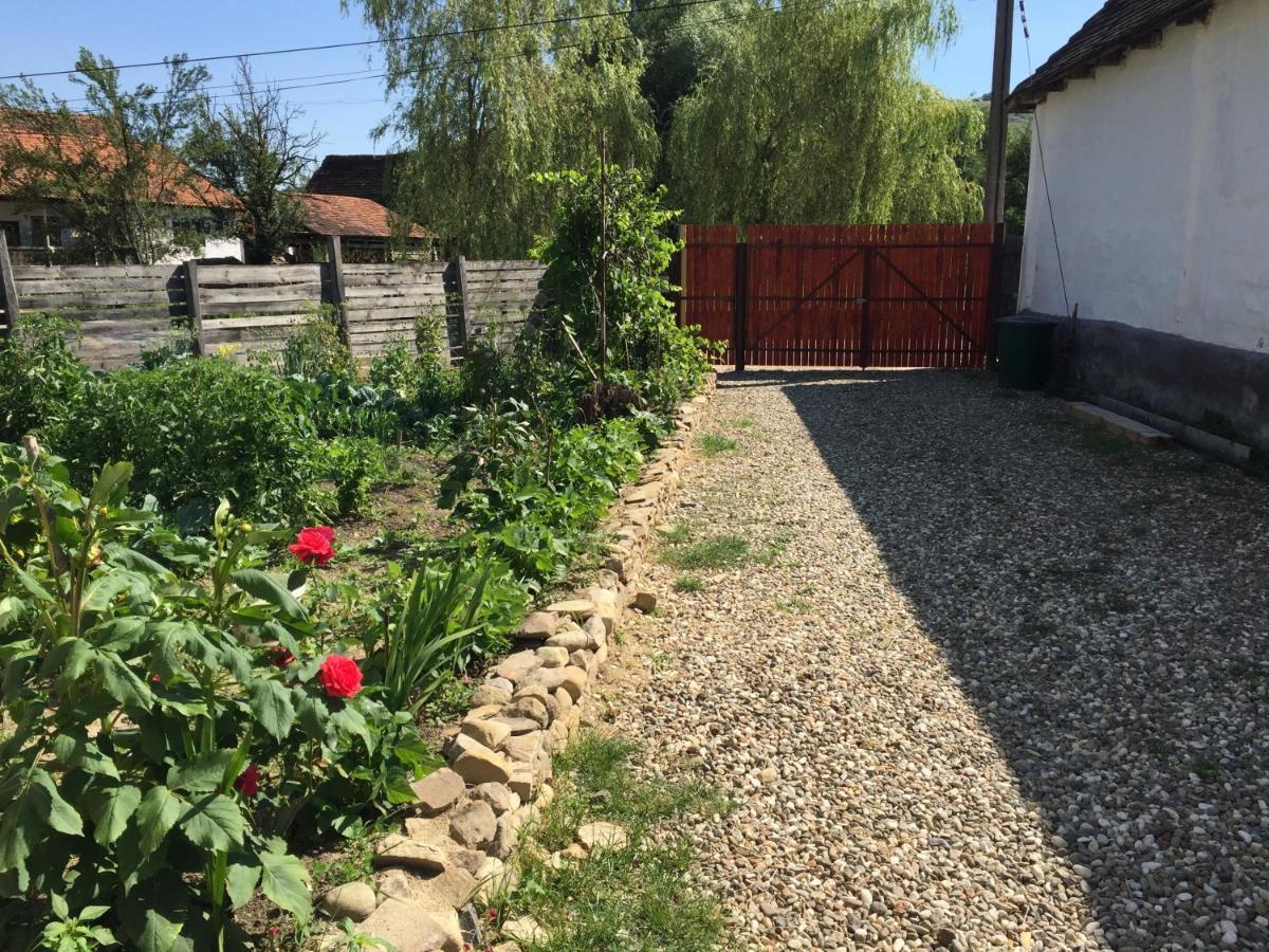 Pensiune Agroturistica Hanna Ocland Екстериор снимка