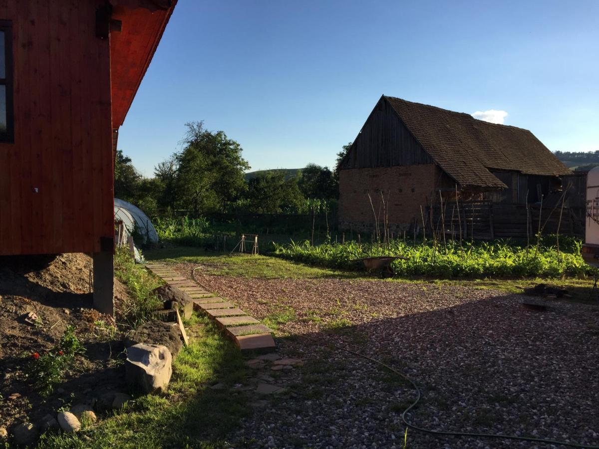 Pensiune Agroturistica Hanna Ocland Екстериор снимка