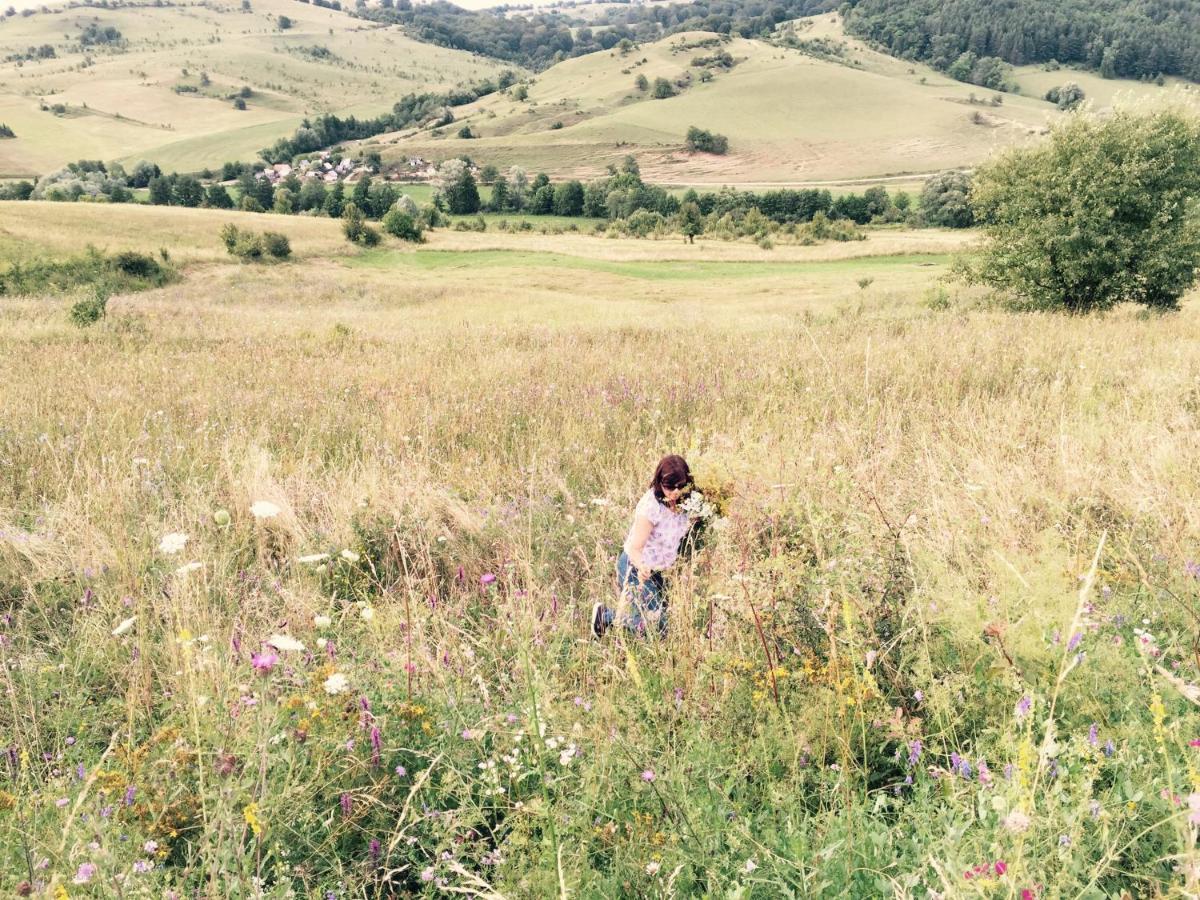 Pensiune Agroturistica Hanna Ocland Екстериор снимка
